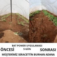 500 Ml Turkuvaz Bat Power Organik Sıvı Yarasa Gübresi (KONSANTRE)